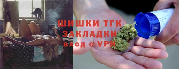 прущие грибы Пестово