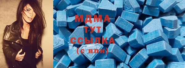 прущие грибы Пестово
